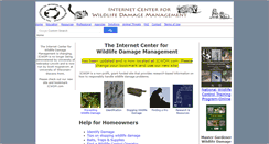 Desktop Screenshot of icwdm.org